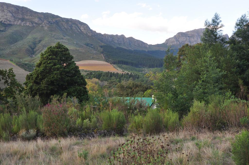 Kierie Kwaak Self Catering Villa Stellenbosch Buitenkant foto